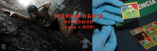 тгк Алзамай