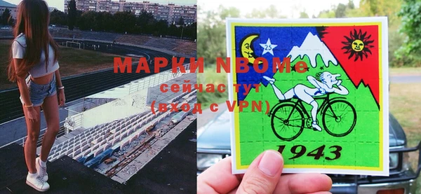 тгк Алзамай