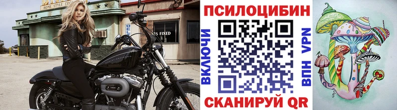 Псилоцибиновые грибы Magic Shrooms  Благовещенск 
